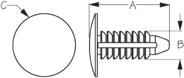 4089?width=380&height=380